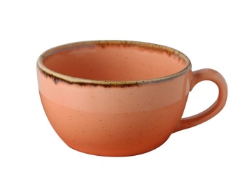 Чашка Porland Orange Seasons чайная фарфор 250 мл